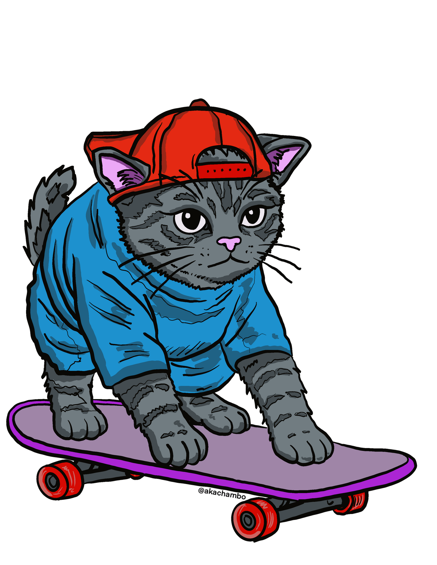 Sk8ter Kitty #2