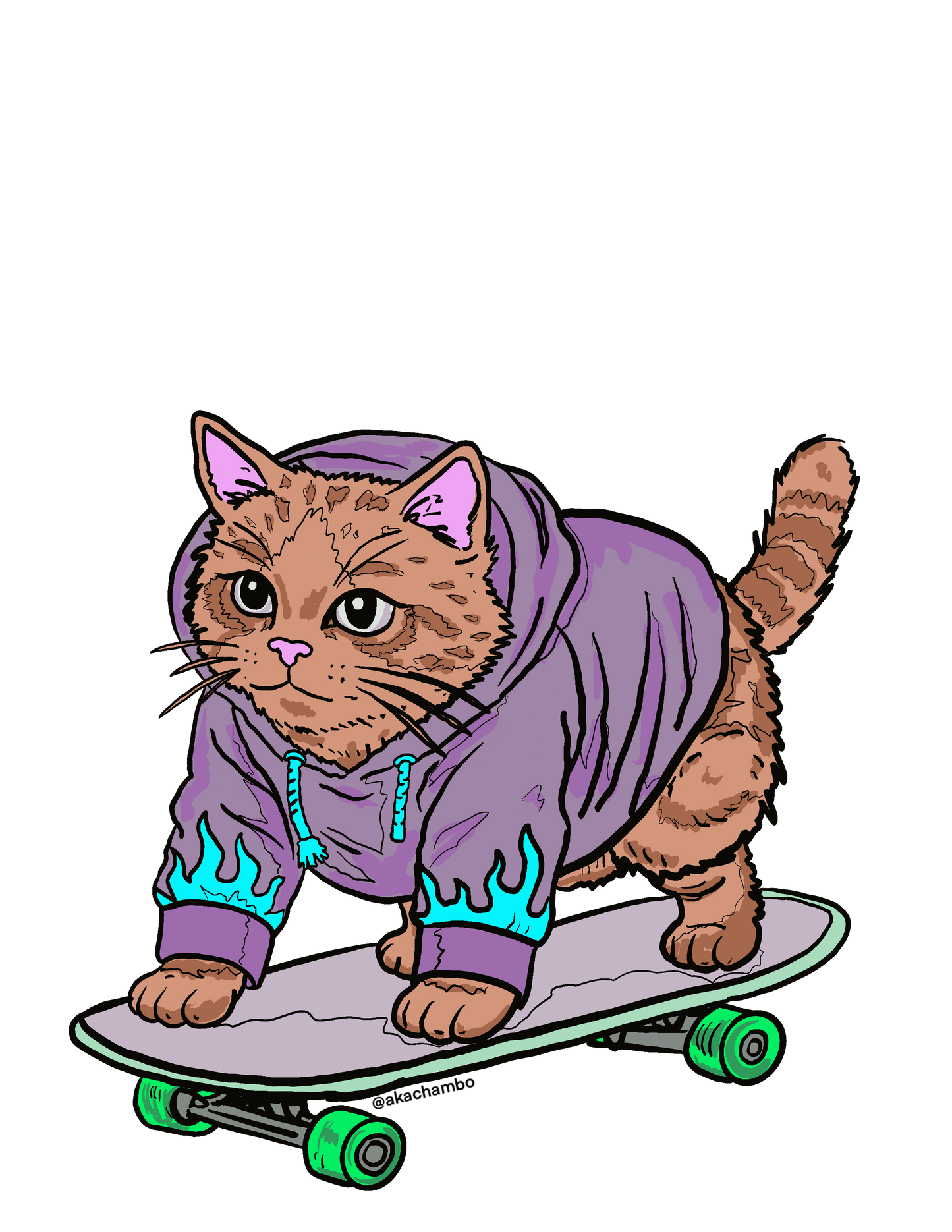 Sk8ter Kitty #3