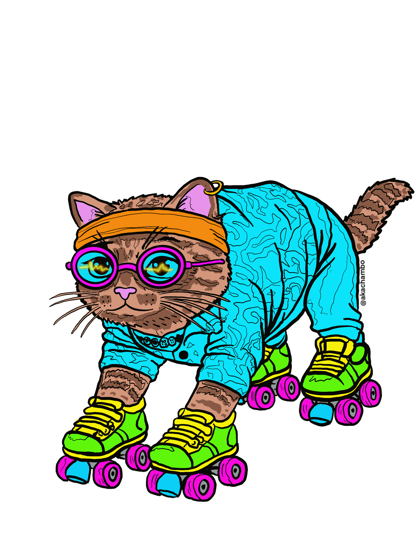 Roller Disco Kitty