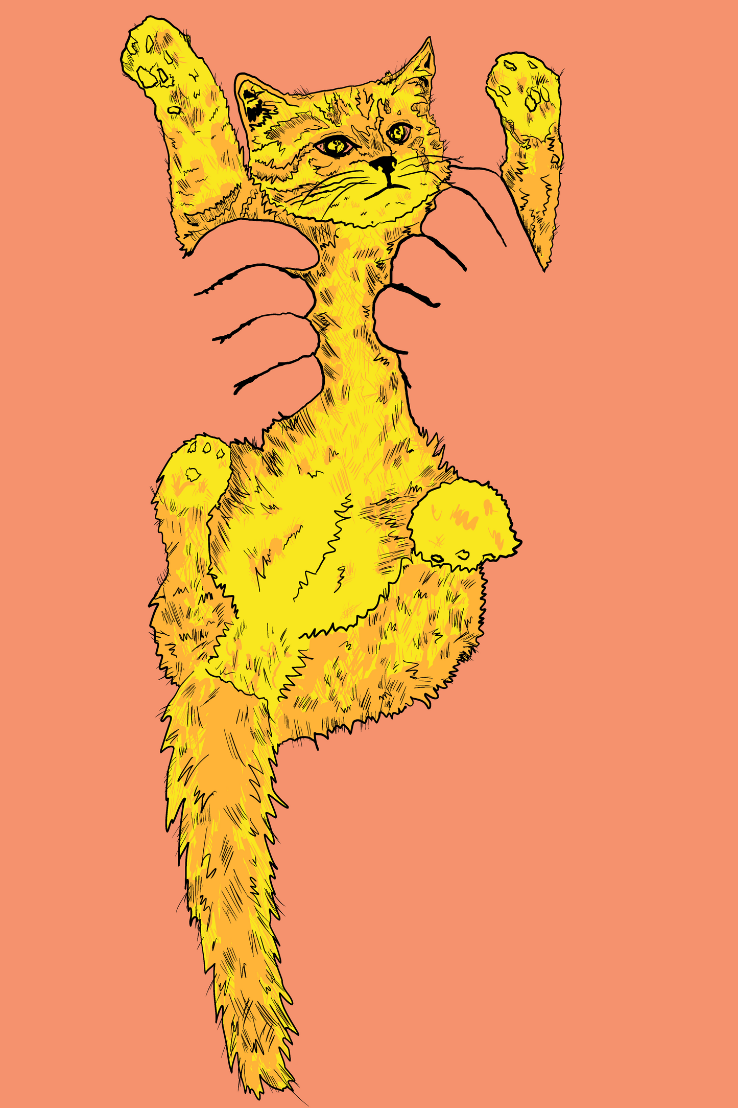 Cat Lover