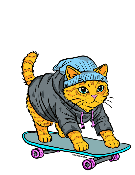 Sk8ter Kitty